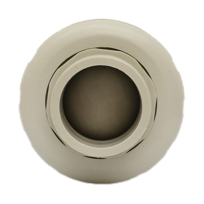 PPH H61F-10S Terugslagklep met enkele unie DN15-100 GB Standaard