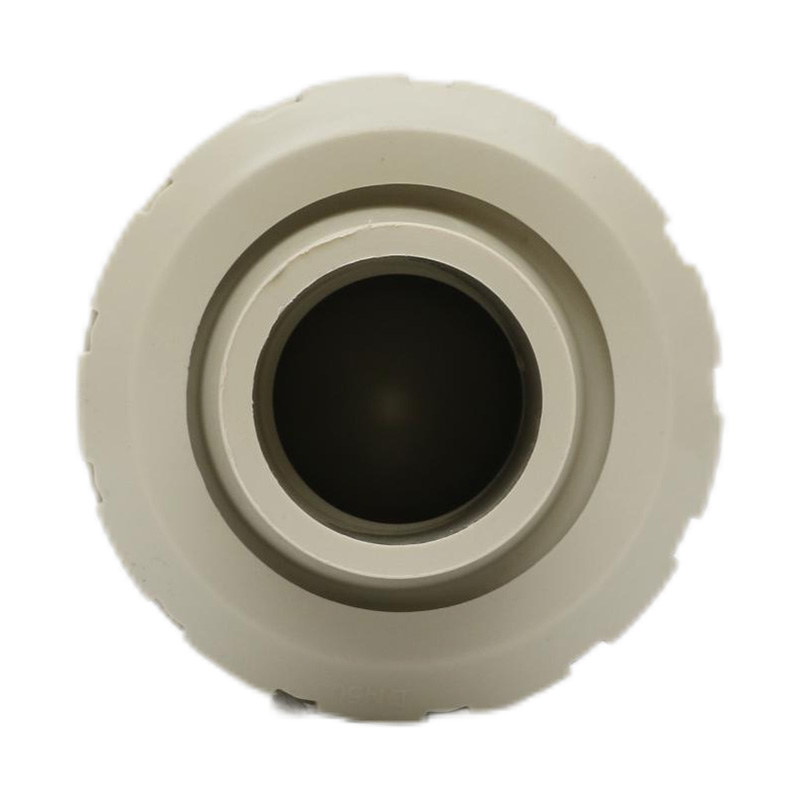 PPH H61F-10S Hotmelt-lasterugslagklep DN50 GB standaard