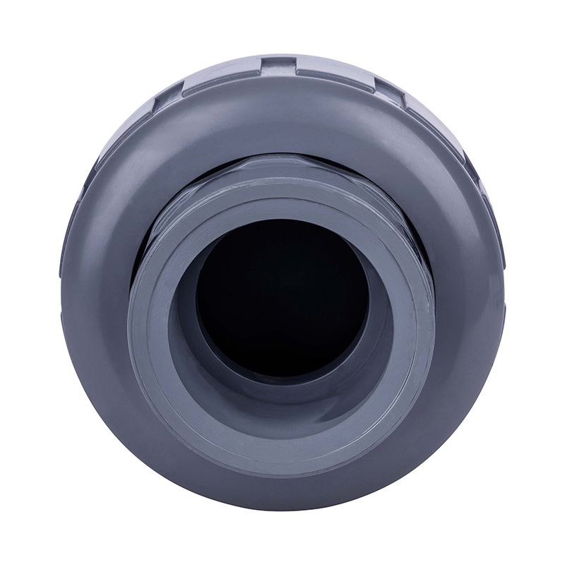 PVC-C H61F-10V terugslagklep met enkele unie DN15-100 GB standaard