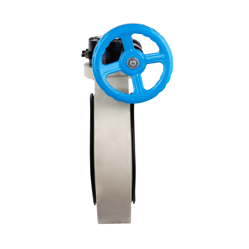 PPH D371X-10S wormwiel vlinderklep DN40-1000 1-1/2'-30' ANSI standaard