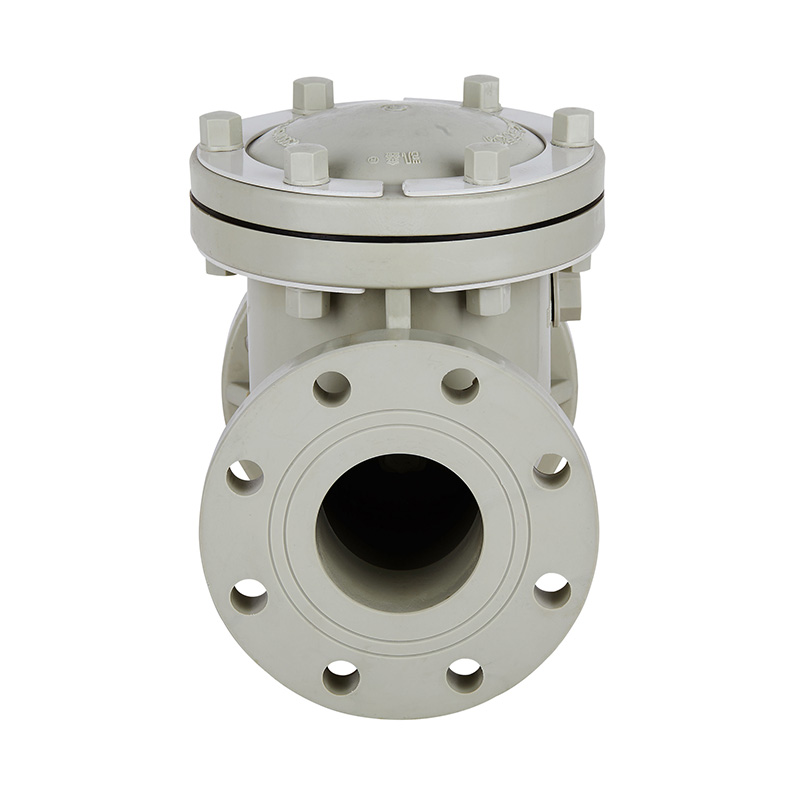 PPH H44F-10S Terugslagklep met terugslagklep DN15-300 GB Standaard