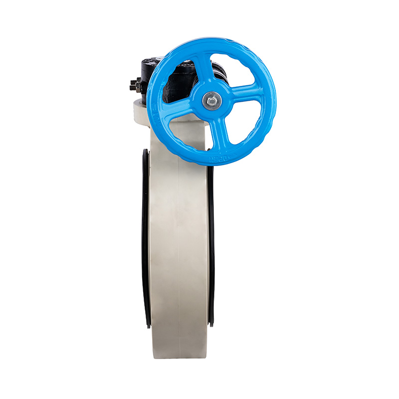 PPH D371X-10S wormwiel vlinderklep DN32-1000 GB standaard