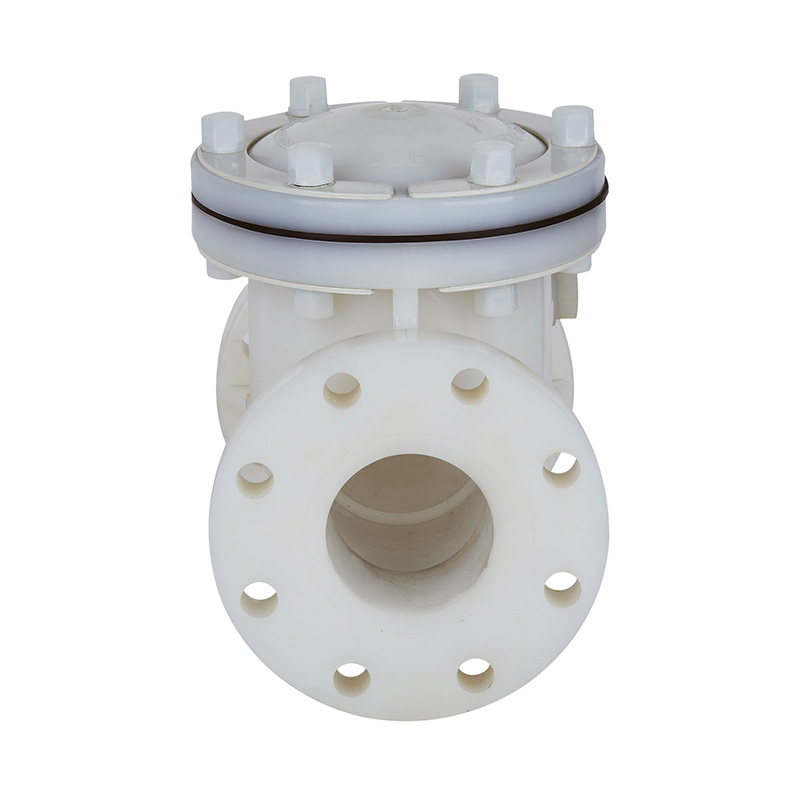 PVDF H44F-10F Terugslagklep met terugslagklep DN15-300 GB Standaard