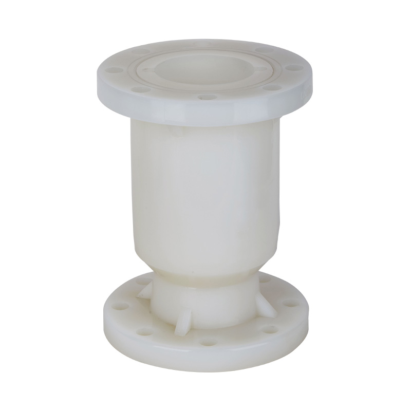 PVDF H41F-10F verticale terugslagklep DN15-300 GB standaard