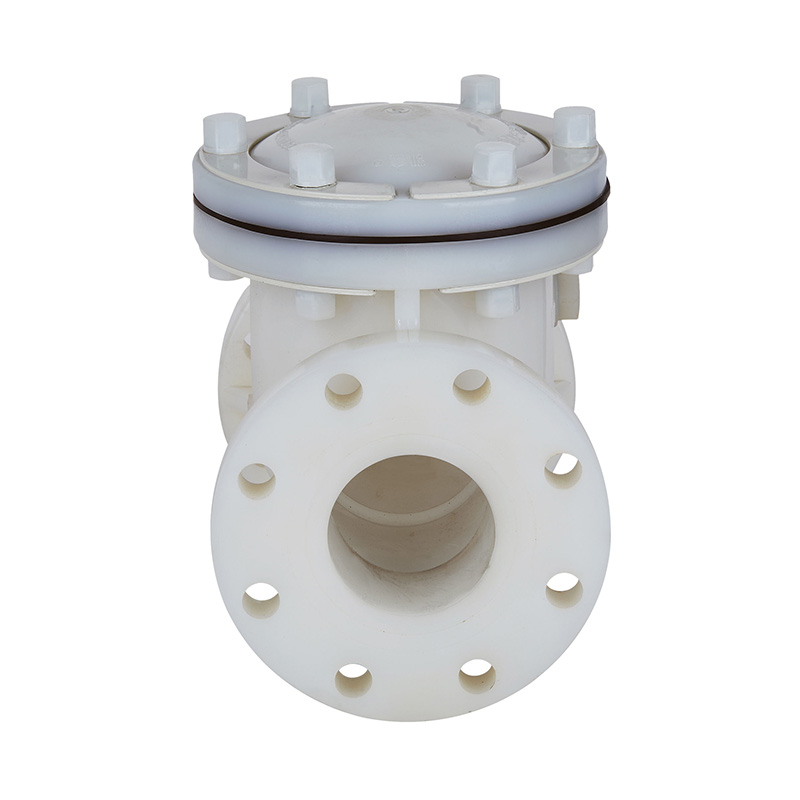 PVDF H44F-10F Swing-type terugslagklep DN15-300 1/2'-12' ANSI-standaard