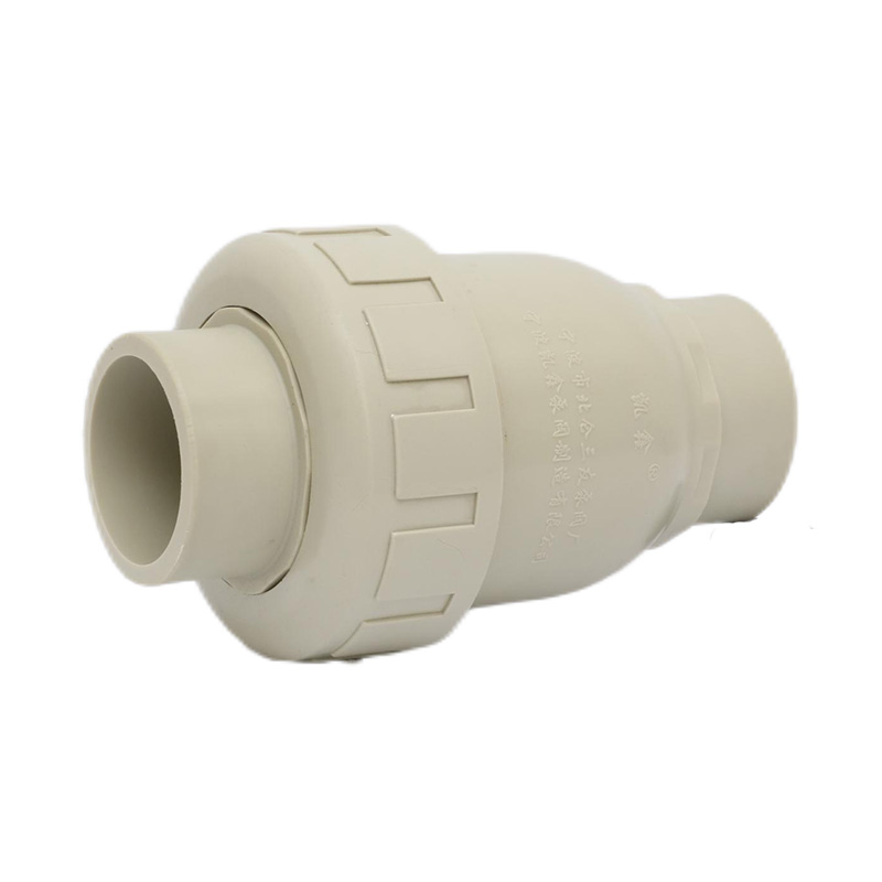 PPH H61F-10S Terugslagklep met enkele unie DN15-100 GB Standaard