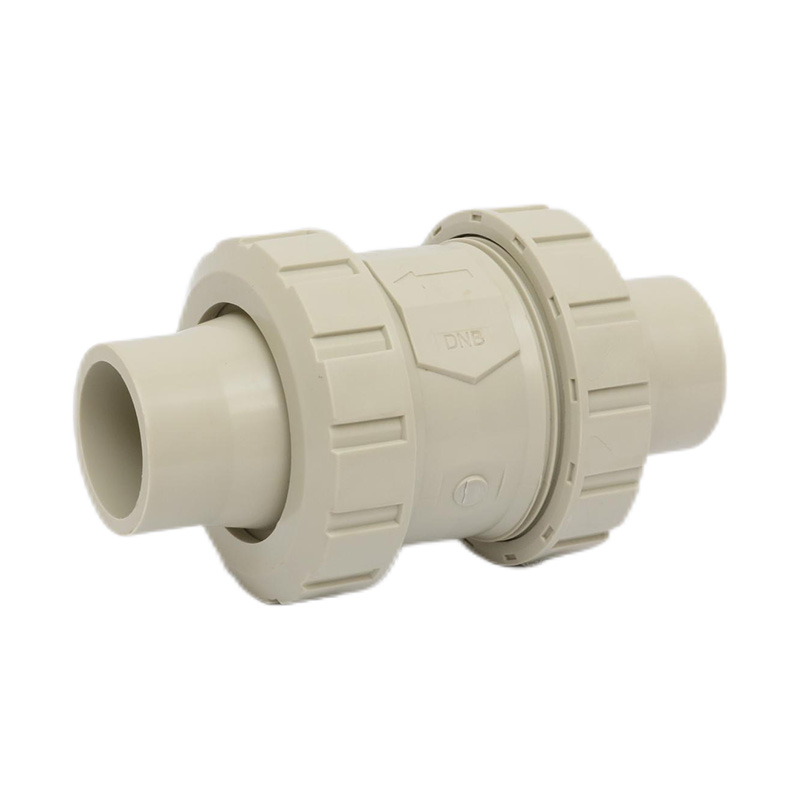 PPH H61F-10S Hotmelt-lasterugslagklep DN50 GB standaard