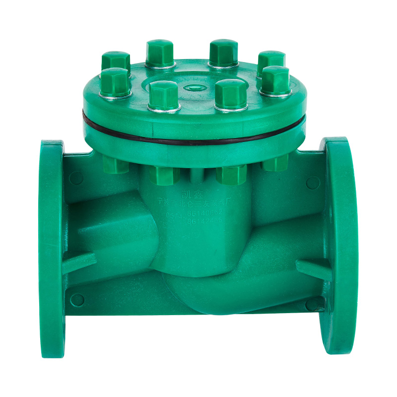 FRPP H41F-10S Levenstype terugslagklep DN40-80 GB standaard