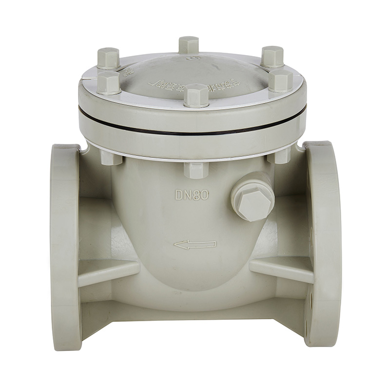 PPH H44F-10S Terugslagklep met terugslagklep DN15-300 GB Standaard