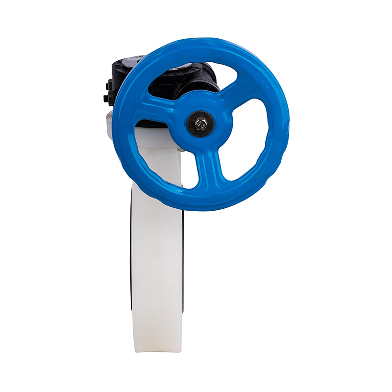 PVDF D371X-10F wormwiel vlinderklep DN40-1000 40A-1000A JIS standaard