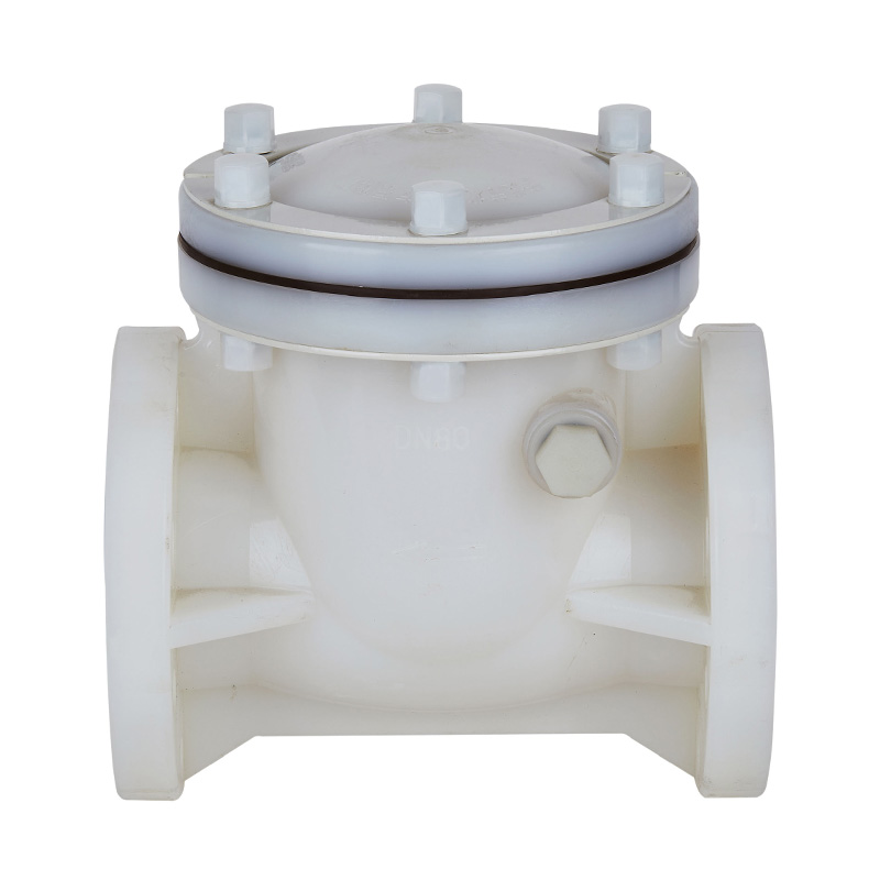 PVDF H44F-10F Swing-type terugslagklep DN15-300 1/2'-12' ANSI-standaard