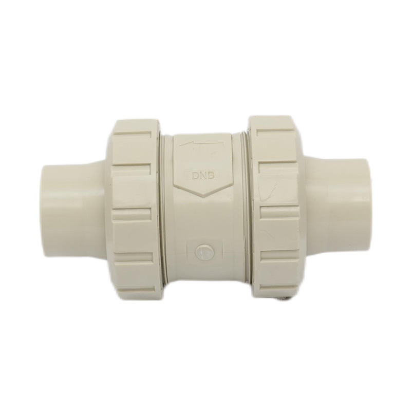 PPH H61F-10S Hotmelt-lasterugslagklep DN50 GB standaard