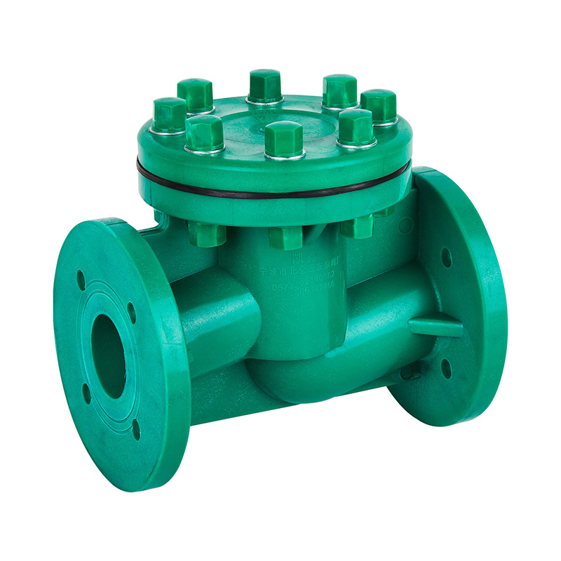 FRPP H41F-10S Levenstype terugslagklep DN40-80 GB standaard