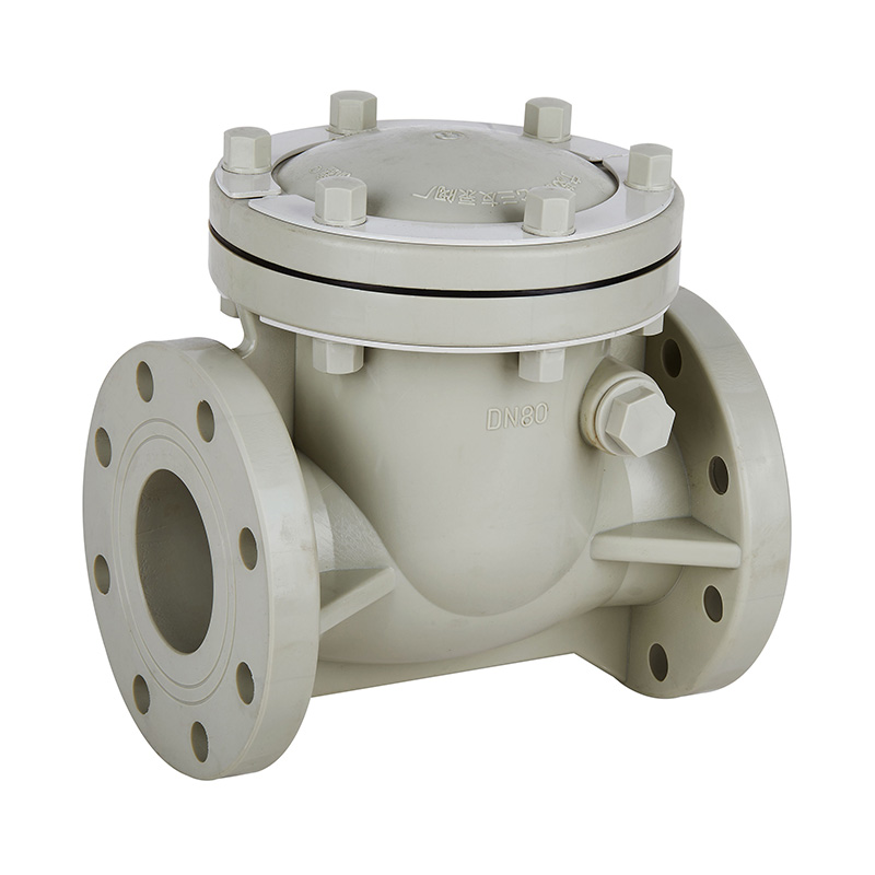 PPH H44F-10S Draaibare terugslagklep DN15-300 1/2'-12' ANSI-standaard