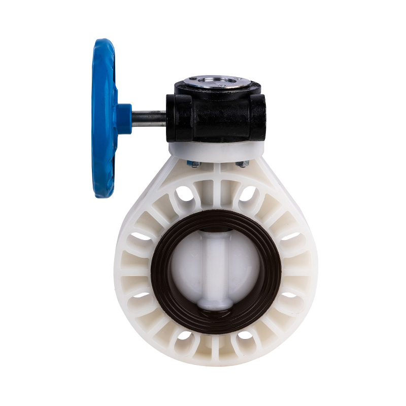 PVDF D371X-10F wormwiel vlinderklep DN32-1000 GB standaard