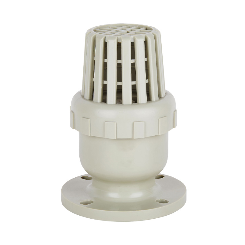 PPH H42F-10S Bodemklep DN50-200 2'-8' ANSI Standaard