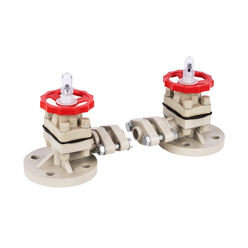 PPH G41F-10S Niveau-indicator DN15-50 GB Standaard