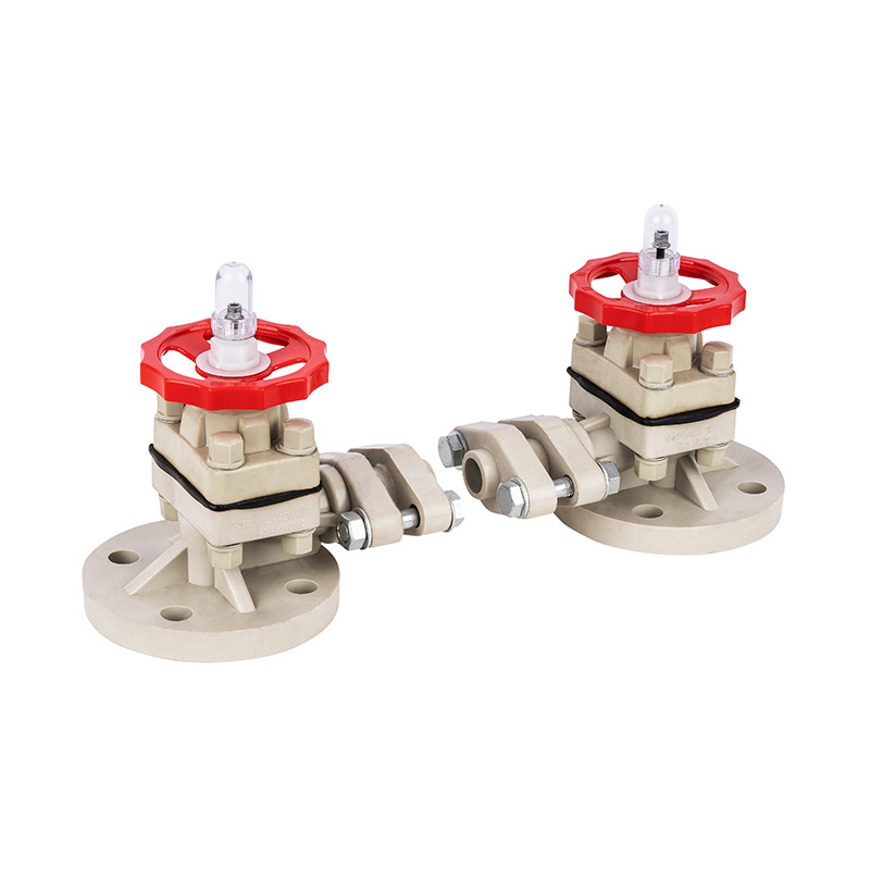 PPH G41F-10S Niveau-indicator DN15-50 1/2'-2' ANSI-standaard