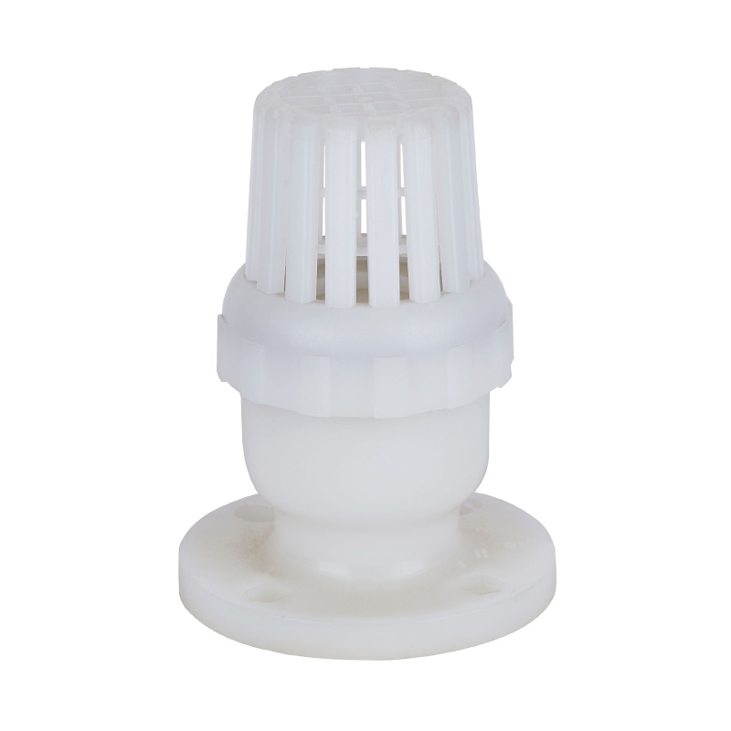 PVDF H42F-10F Bodemklep DN50-200 2'-8' ANSI Standaard