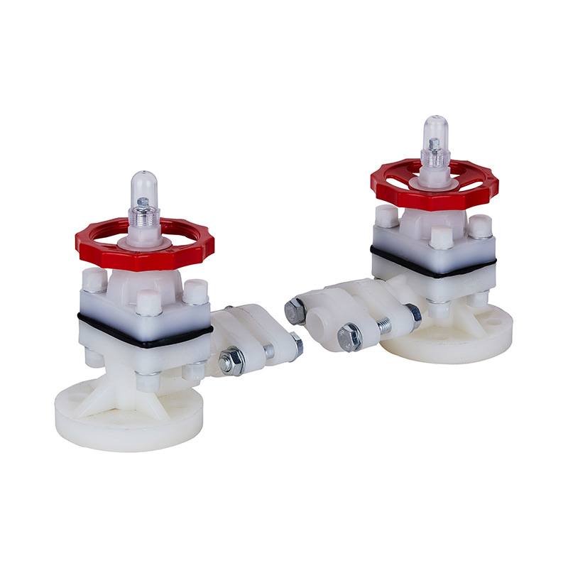 PVDF G41F-10F Niveau-indicator DN15-50 1/2'-2' ANSI-standaard